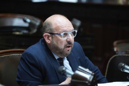 El diputado nacional por San Luis, Carlos D