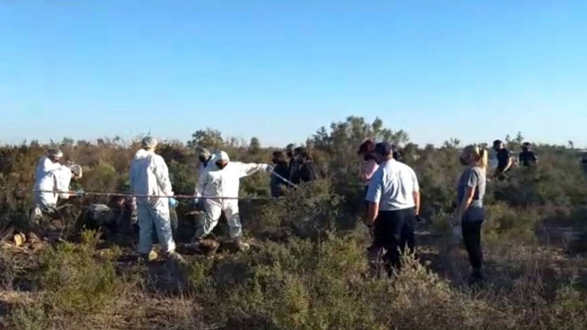 Los forenses trabajando en la zona. Foto: X