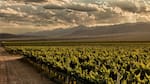 Rutas del vino fuera de Mendoza: tres destinos para descubrir bodegas en Argentina este fin de semana XXL