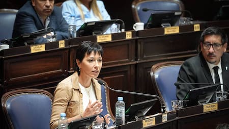 Mayra Mendoza: “Esto no es modernización, es una estafa a los trabajadores”