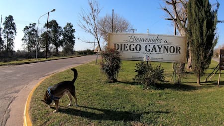 Pueblo Diego Gaynor. Foto: X/gui10road