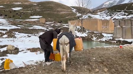 Fuertes nevadas en Afganistán. Foto: captura video Viory.