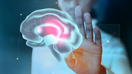 El cerebro humano está reduciendo su tamaño. Foto Freepik.