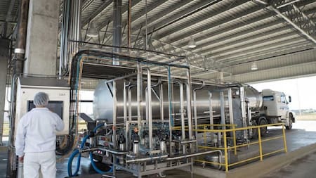 Hito en la industria láctea: el país africano que superó a Brasil y se convirtió en el principal mercado de exportación en el sector