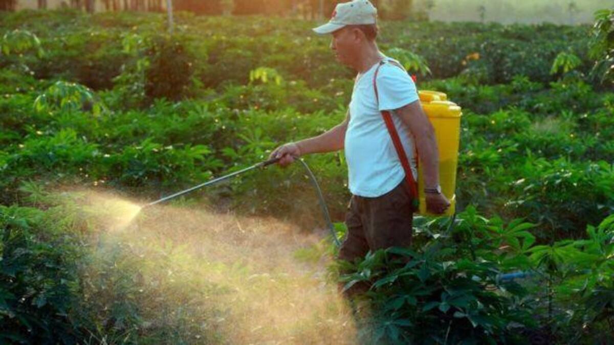 Agrotóxicos, uso de pesticidas