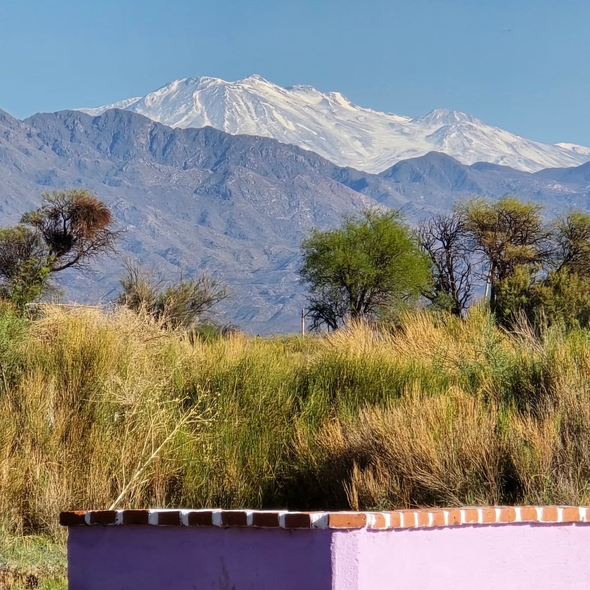 Panorámica de Jagué, un pequeño pueblo de La Rioja con casas de adobe, paisajes cordilleranos y calles donde gran parte de las viviendas están deshabitadas.