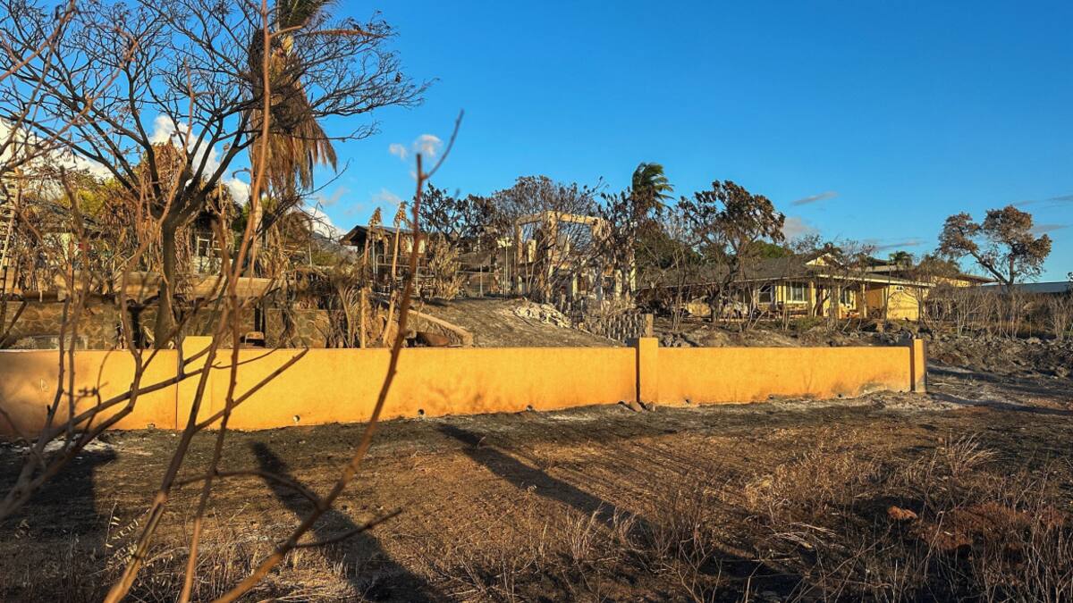 Incendios en Hawái. Foto: Reuters.