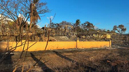 Incendios en Hawái. Foto: Reuters.