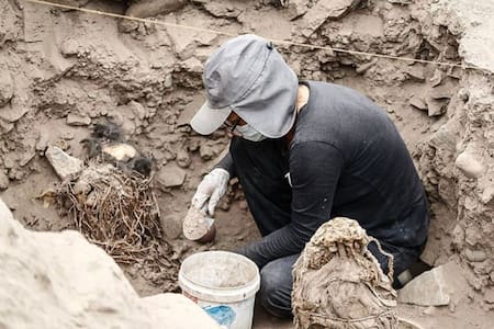 Descubren 5 momias en Perú. Foto: X/@hoy_paraguay