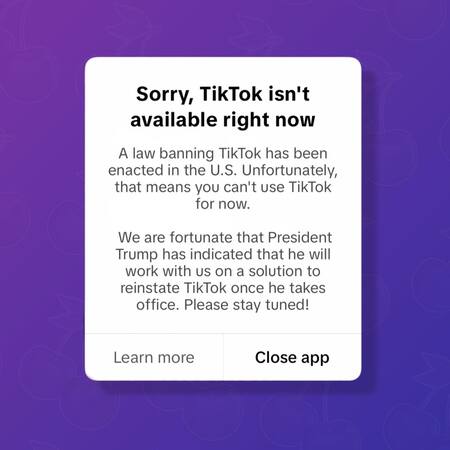 El mensaje enviado por TikTok a sus usuarios en Estados Unidos. Foto: Captura TikTok.