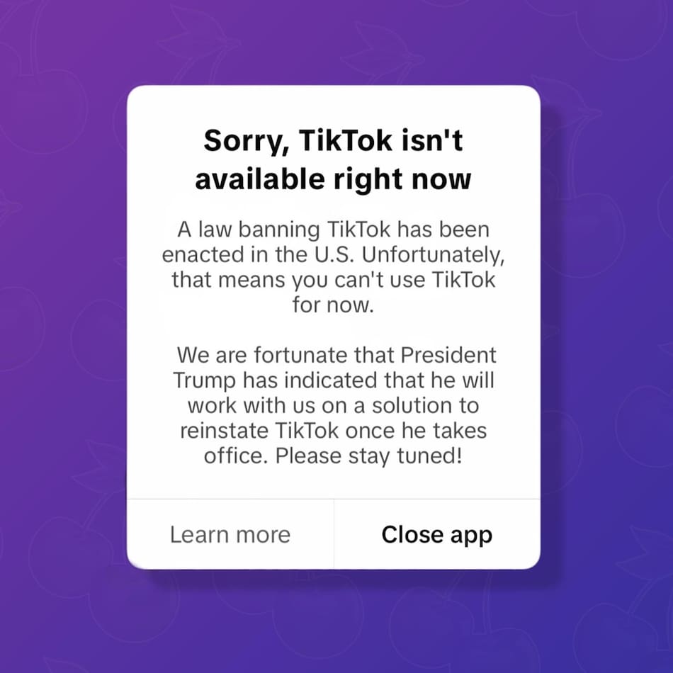 El mensaje enviado por TikTok a sus usuarios en Estados Unidos. Foto: Captura TikTok.