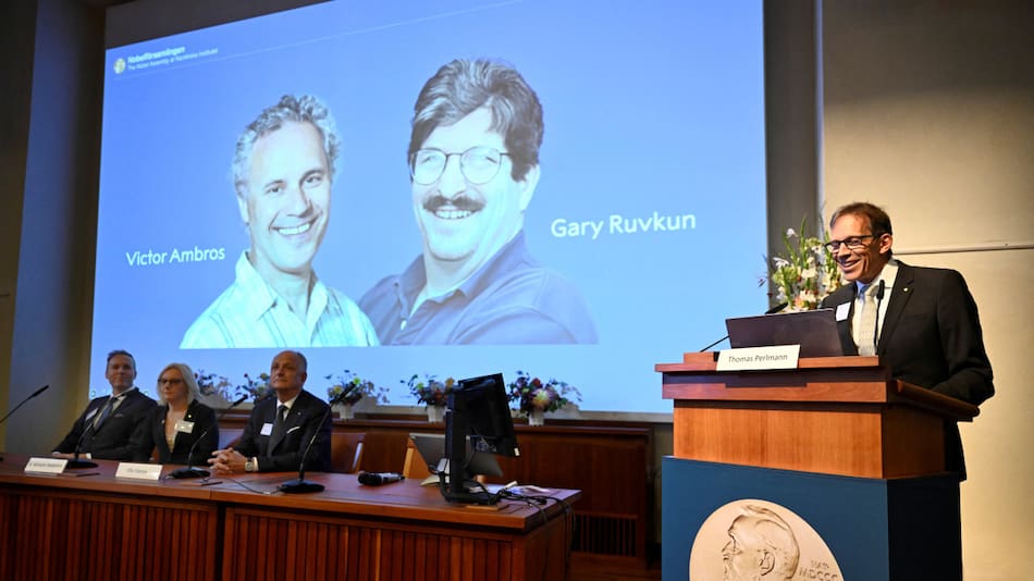 Gary Ruvkun y Víctor Ambros ganaron el Premio Nobel de Fisiología o Medicina 2024. Foto: Reuters.