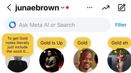 Nuevo Instagram Gold. Foto: X