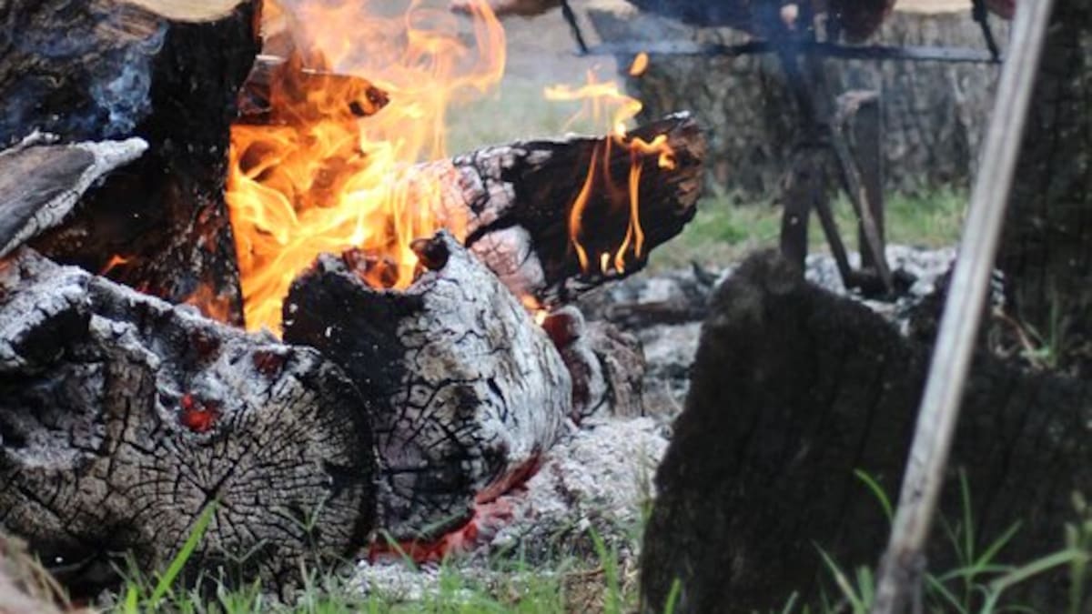 Cientos de familias disfrutan de una jornada a pura gastronomía criolla, con el tradicional cerdo a la estaca, shows en vivo y propuestas culturales que consolidan a Llambí Campbell.