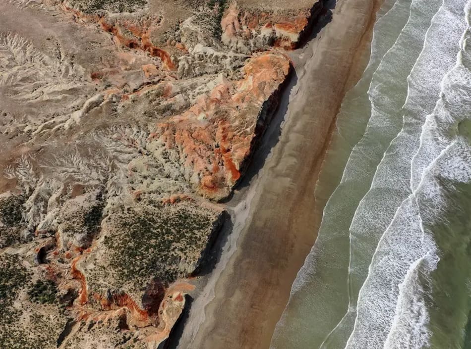 La Ruta Patagonia Azul impulsa el turismo responsable y conecta pueblos costeros del sur argentino