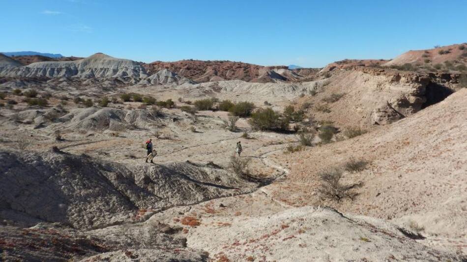 Parque Nacional Talampaya, lugar donde se encontraron los restos fósiles. Foto: Télam.