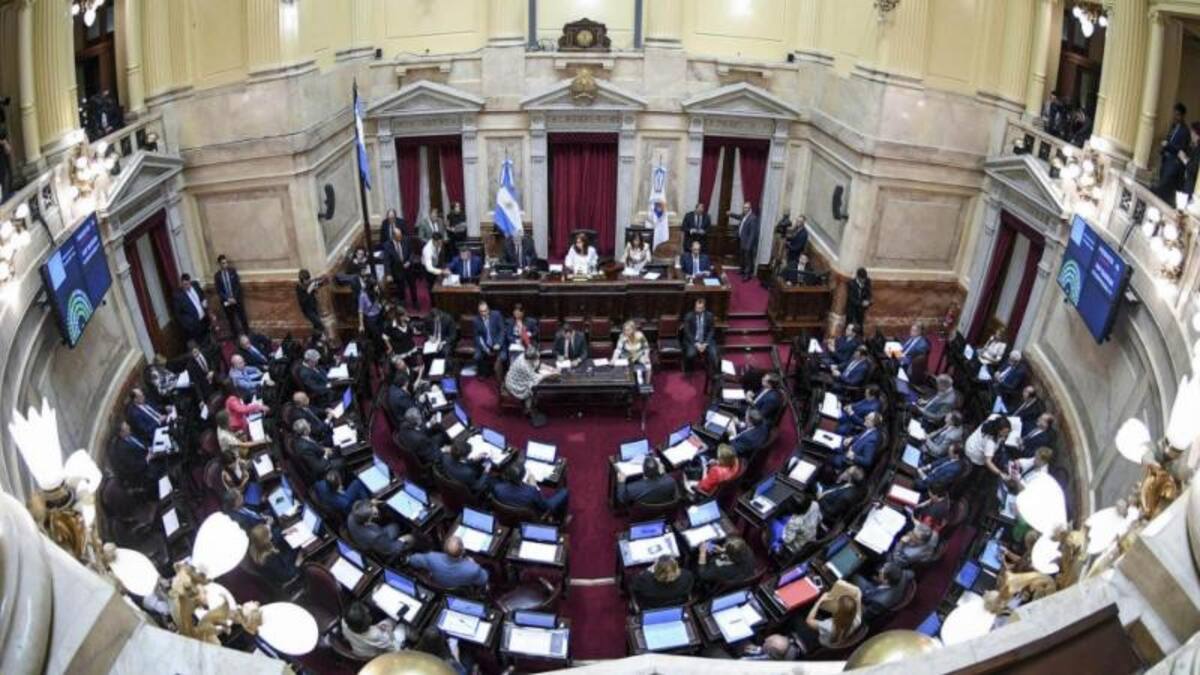 Senado, Congreso, foto NA