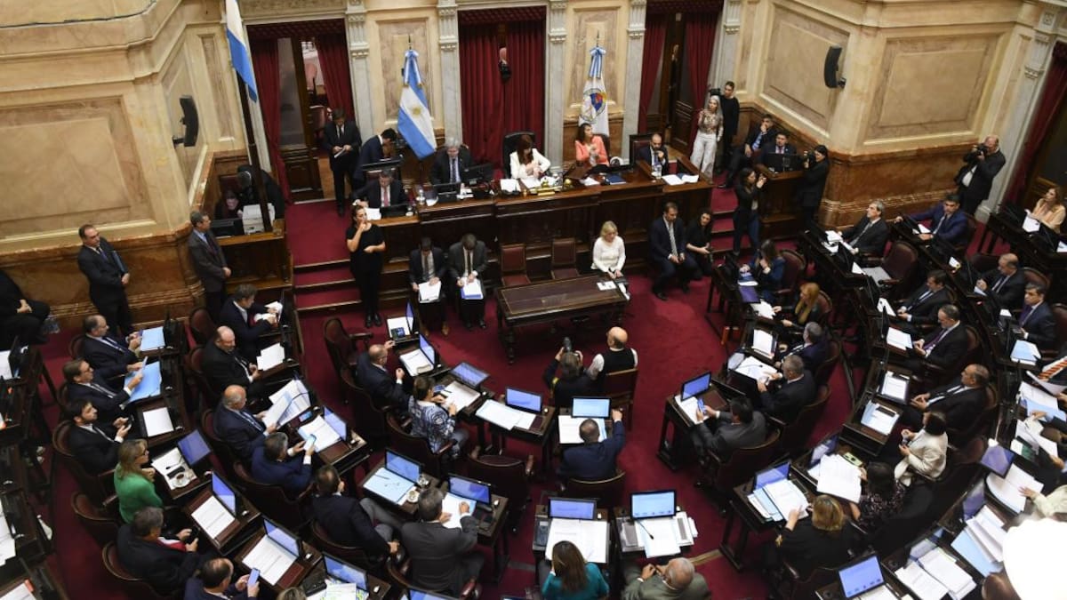 Senado; Ley de Alcohol Cero. Foto: Télam.