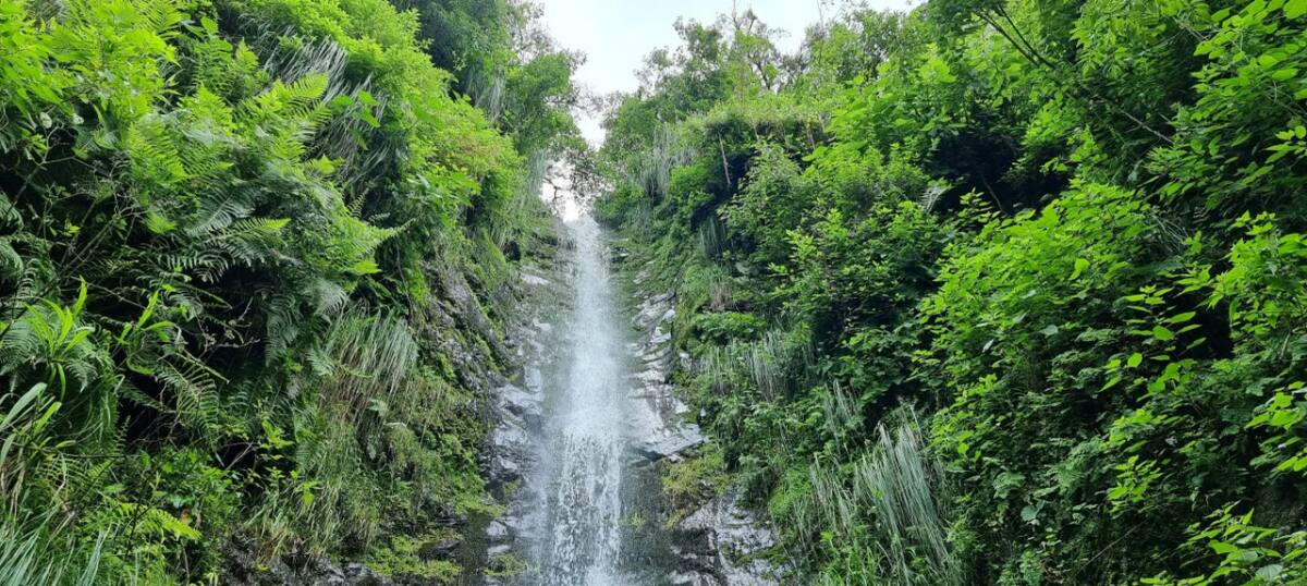 Cascada Los Payos, en Jujuy. Foto: Facebook / Leer del Viaje.