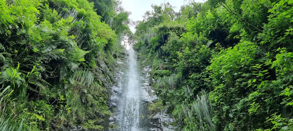 Cascada Los Payos, en Jujuy. Foto: Facebook / Leer del Viaje.