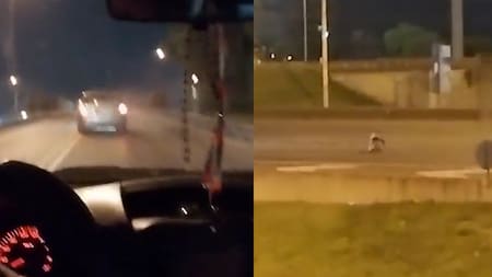 Locura en Panamericana. Fotos: captura video.