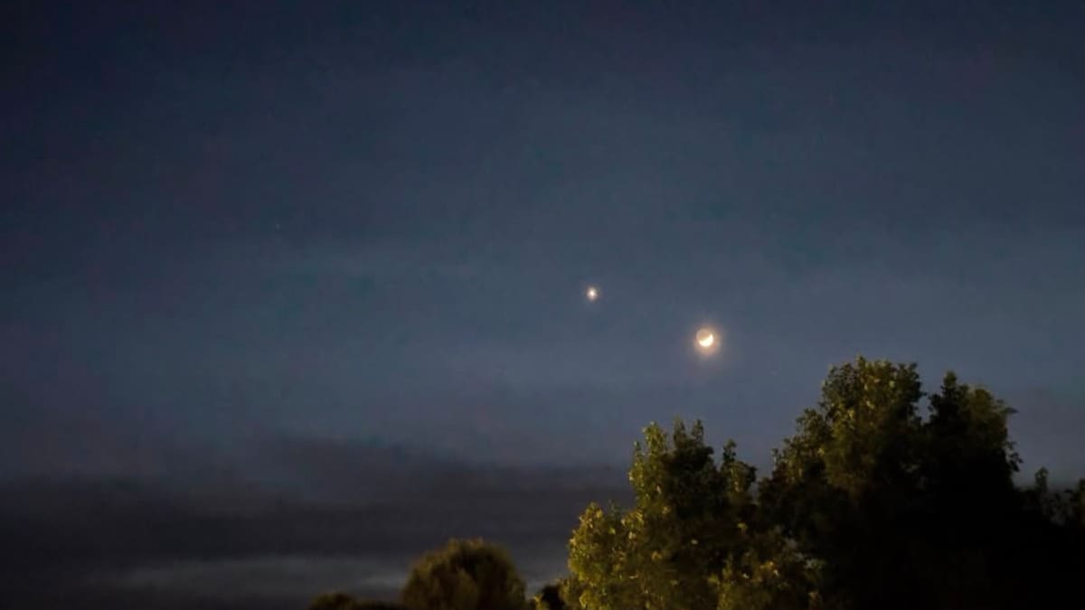 El “beso cósmico” de Venus y Júpiter: cuándo y cómo ver desde Argentina el evento astronómico que no se repetirá hasta 2028