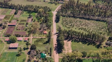 El pueblito del millón de árboles: tiene apenas 300 habitantes y una riqueza natural digna de admirar una escapada de fin de semana