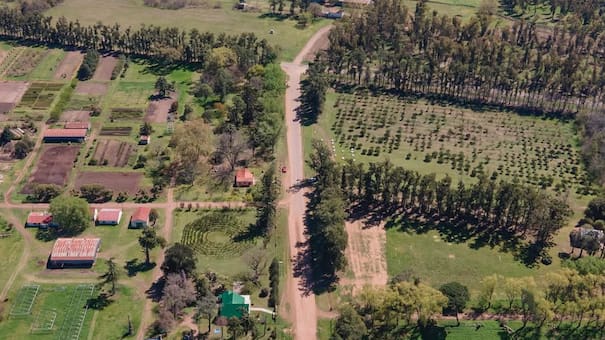 El pueblito del millón de árboles: tiene apenas 300 habitantes y una riqueza natural digna de admirar una escapada de fin de semana