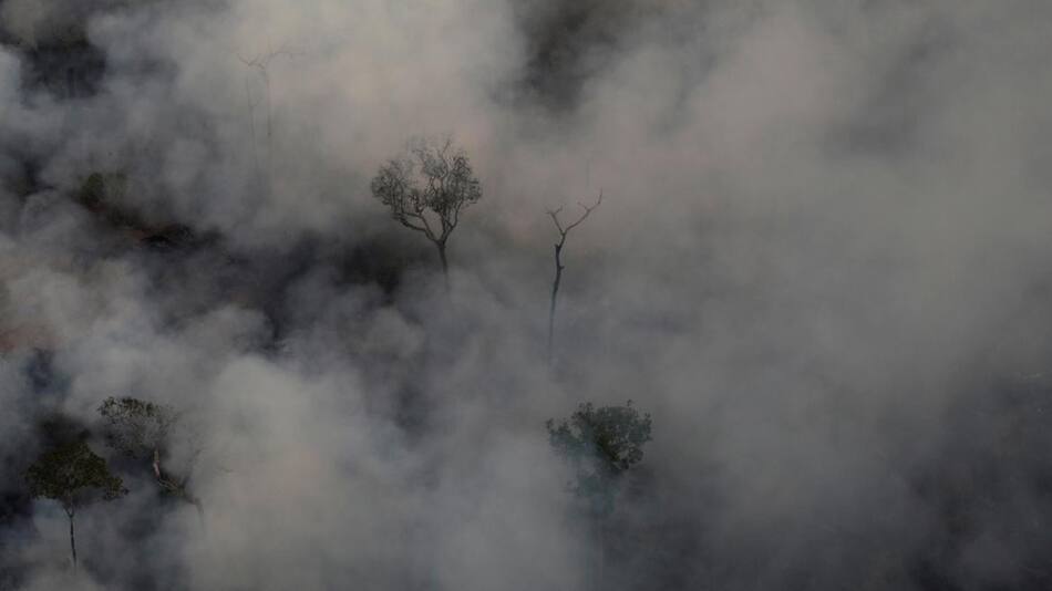 Incendio Amazonia, REUTERS