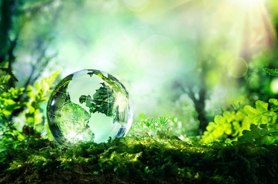 Día Mundial del Medio Ambiente