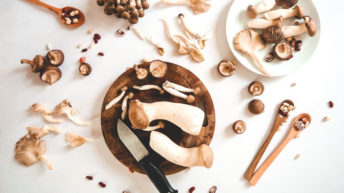 Hongos. Foto: Unsplash