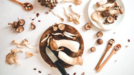 Hongos. Foto: Unsplash