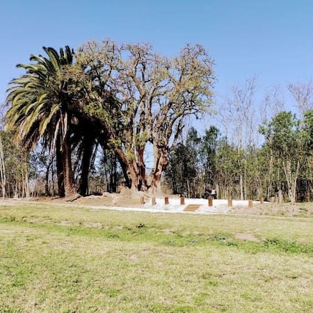 Melincué, Santa Fe. Foto: turismoydeporte.melincue.