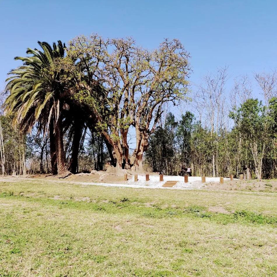 Melincué, Santa Fe. Foto: turismoydeporte.melincue.