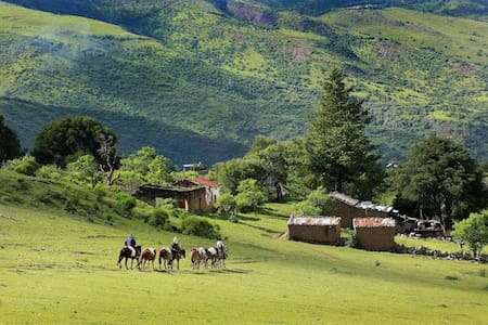 Alto Calilegua, el pueblo jujeño en el que "nacen las nubes". Foto: Fundación Pro Yungas.