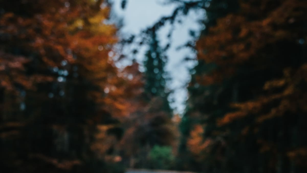 Google Maps. Foto: Unsplash