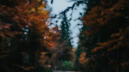 Google Maps. Foto: Unsplash