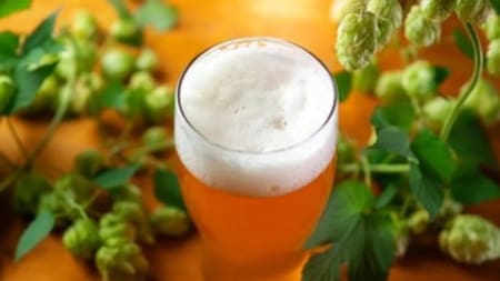 La IPA es una de las cervezas más populares del mundo. Foto: NA.