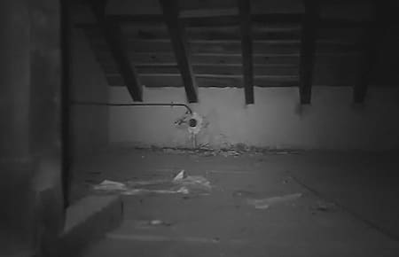 Casa Winter, leyenda nazi, Adolf Hitler, nazis fugitivos