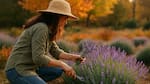 Secreto de jardineros: el truco de otoño que transforma tu lavanda en una planta irresistible