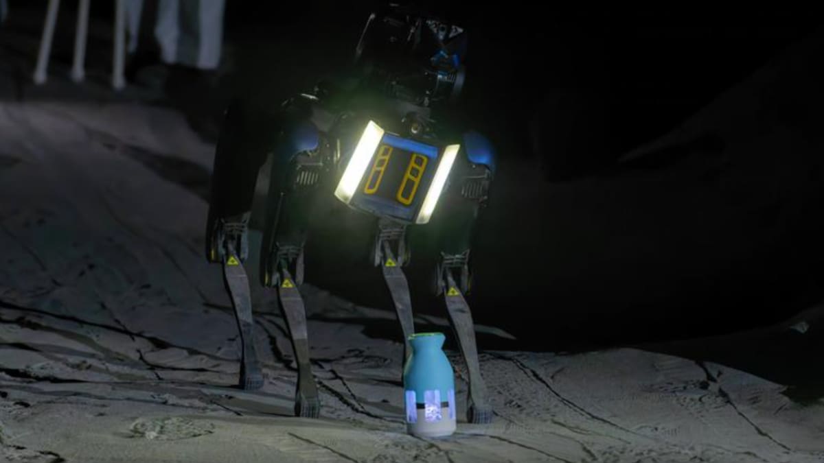 Perros robots chinos