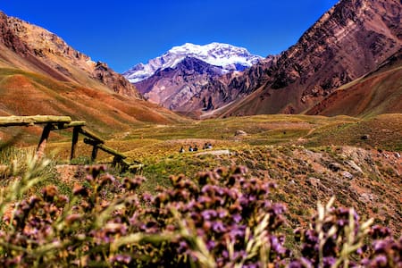 Mendoza. Foto: Unsplash.