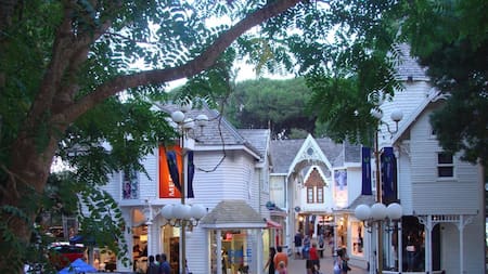 Choque Cariló - Policiales