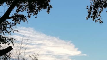 Con herencia alemana: el encantador pueblito entrerriano de 500 habitantes ideal para una escapada de fin de semana