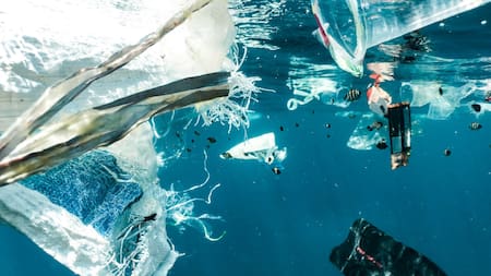 Contaminación por plásticos. Foto: Unsplash