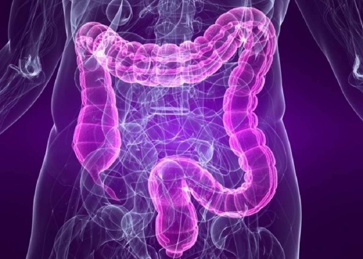 Colón, Cáncer de colon, intestino, salud