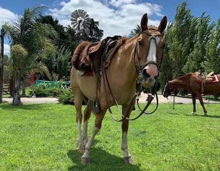 Carlos Keen. Foto NA.