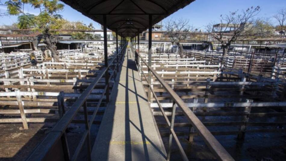 Mercado de Hacienda de Liniers, foto NA