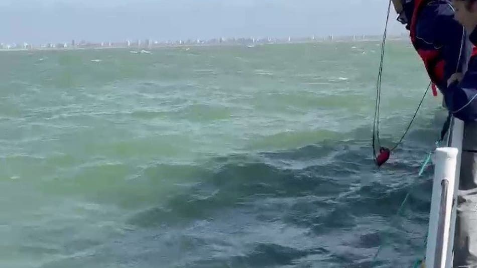 Después de 40 años en cautiverio liberaron al tortugo Jorge al mar. Foto X @mechirebora