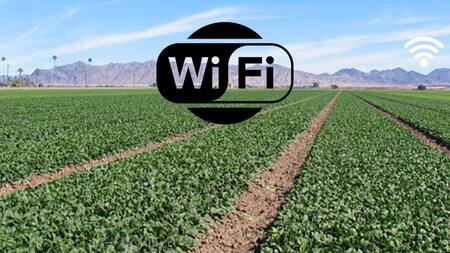 Científicos consiguen que espinacas envíen emails para advertirnos del cambio climático